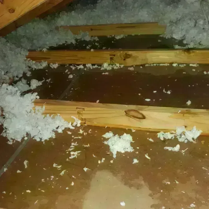 Attic Water Damage in Lake Camelot, IL