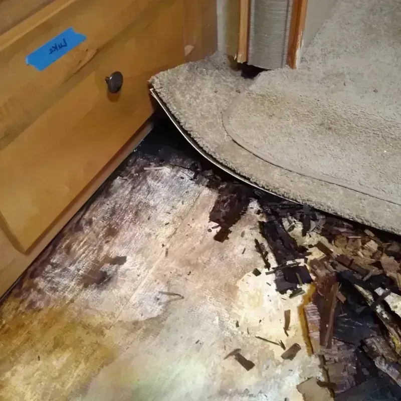 Wood Floor Water Damage in Lake Camelot, IL